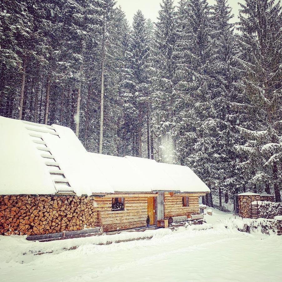 Hotel Penzion Horajda Vítkovice Esterno foto