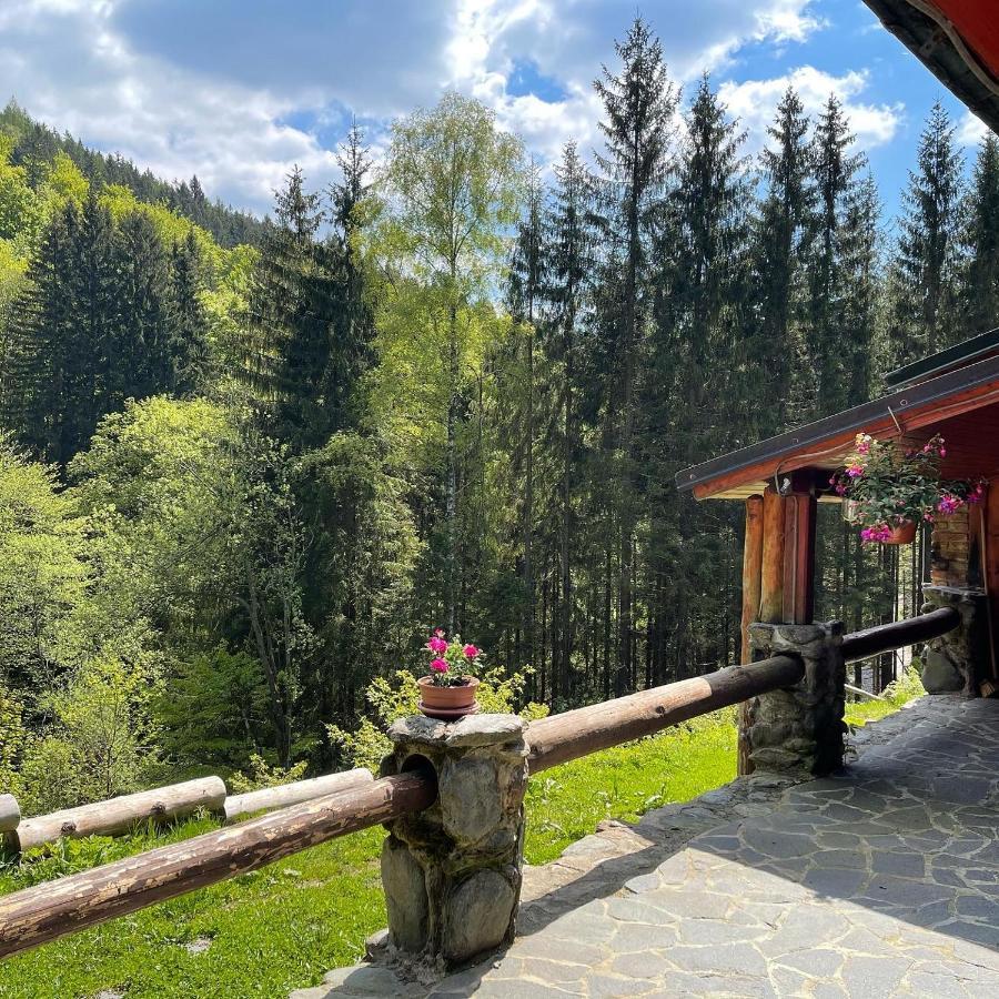 Hotel Penzion Horajda Vítkovice Esterno foto