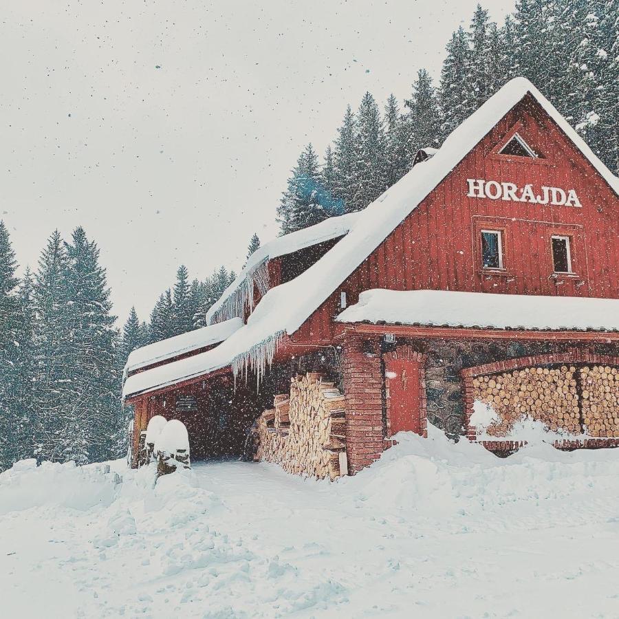 Hotel Penzion Horajda Vítkovice Esterno foto